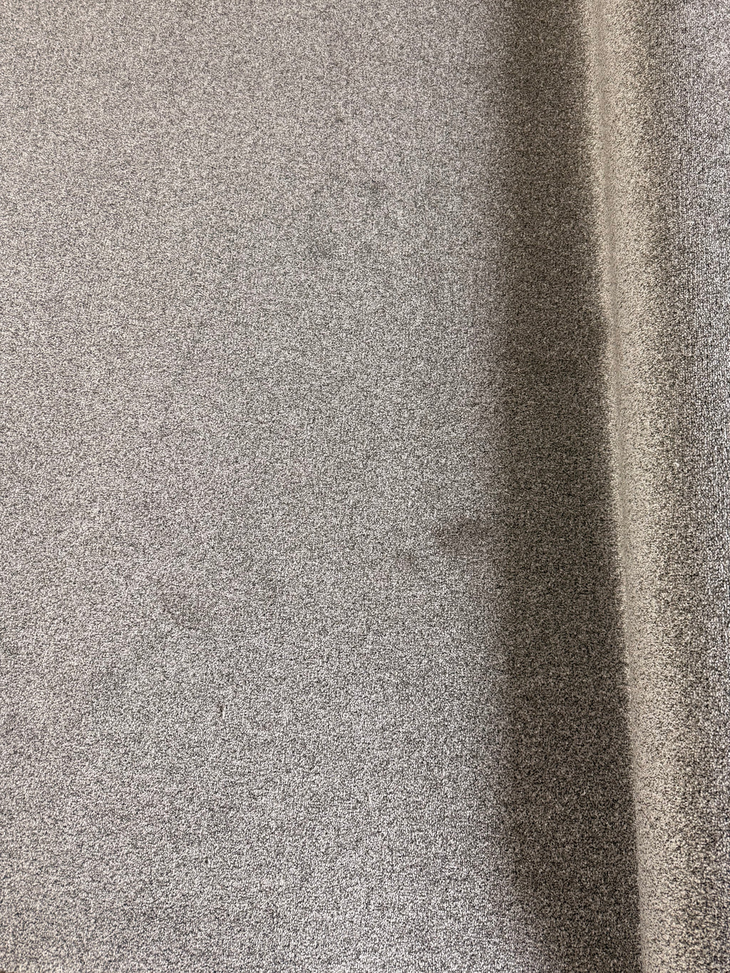 Super Twist Carpet Remnant — Graphite — 3.65m × 5.00m